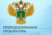 По иску Хабаровской межрайонной природоохранной прокуратуры суд обязал администрацию городского поселения «город Бикин» и эксплуатирующую организацию организовать надлежащее водоотведение в г.Бикин