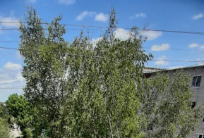 1000 дворов Фото во время работ Казачья 16